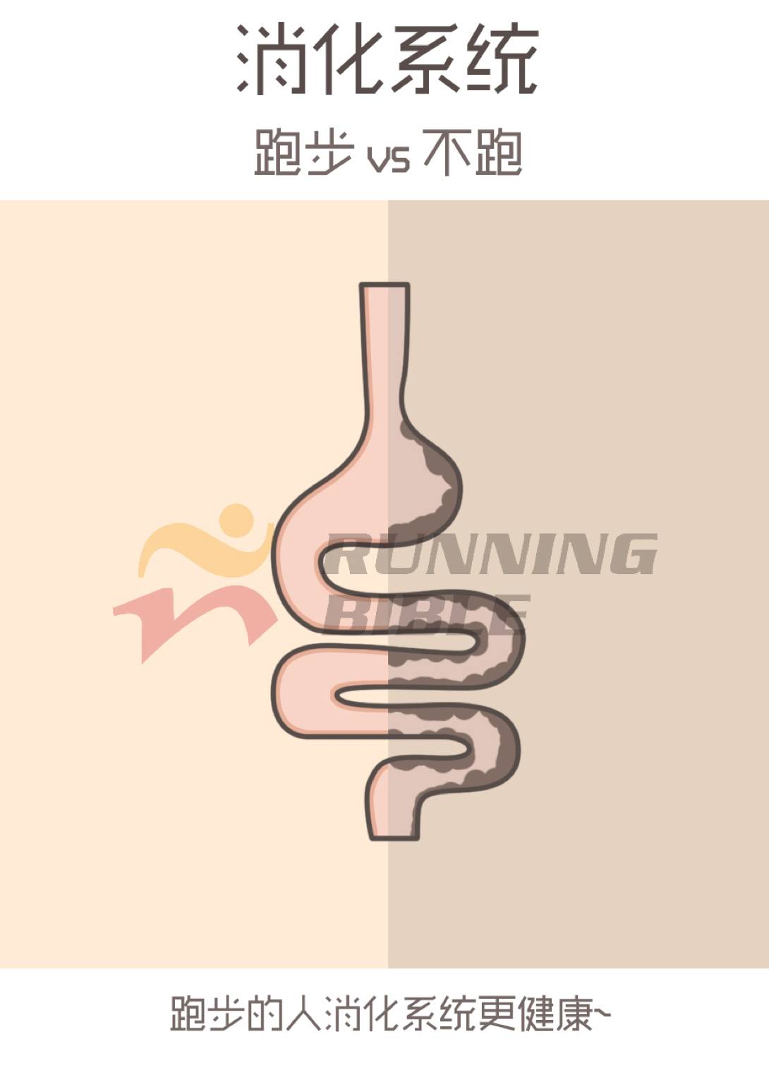 跑步vs不跑！原来这么不同！