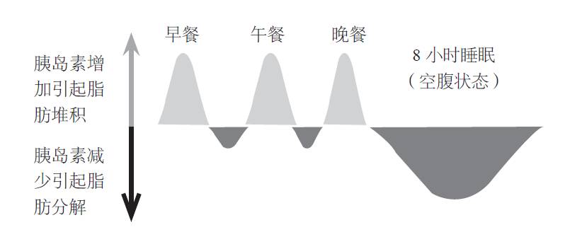 对于空腹运动，我们误解的太多！