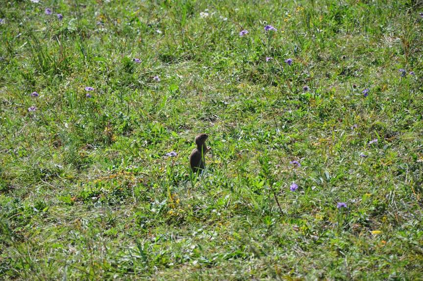 跑友分享｜奔跑路上的美小护