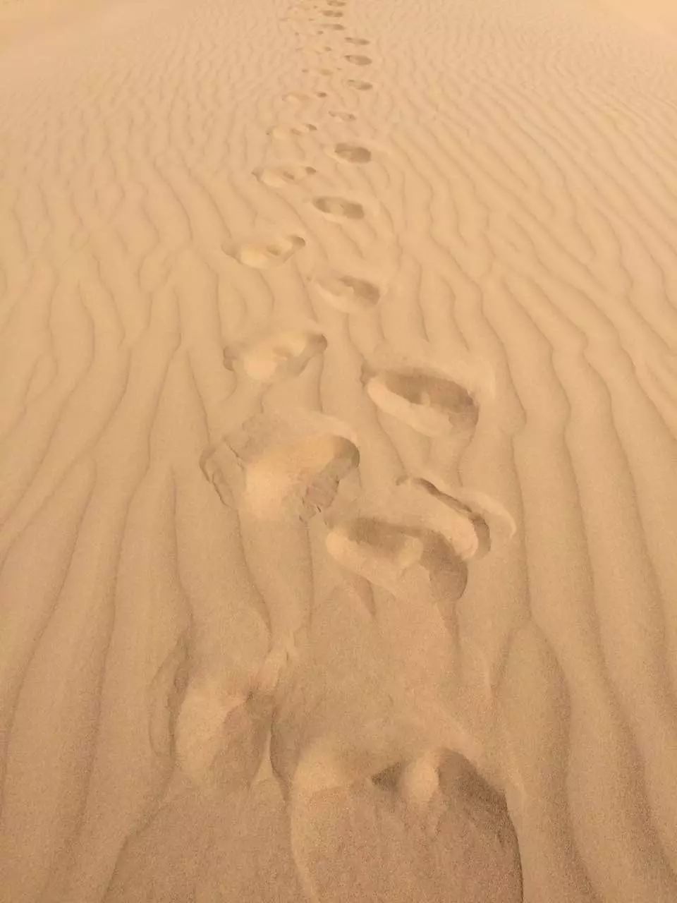 跑友分享｜来沙漠看海——错过悔一生的乌海马拉松