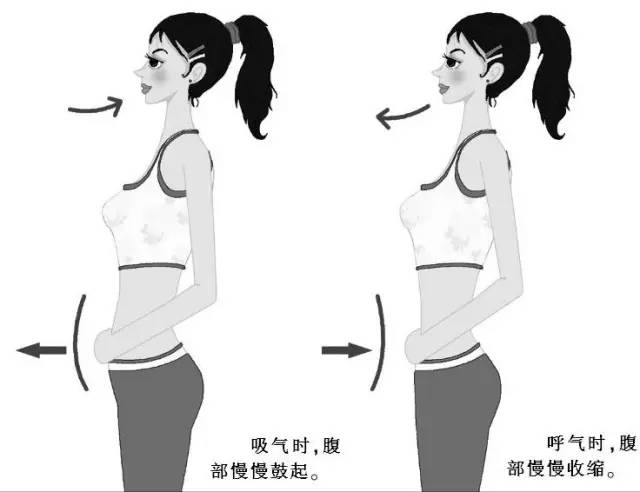 科普 | 腹式呼吸全介绍  告别小肚腩~