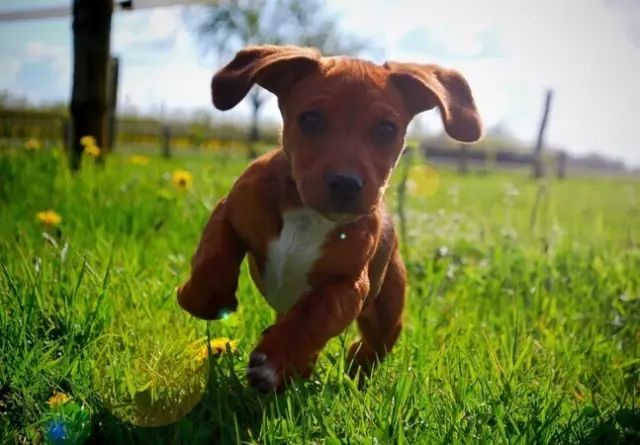 跑者绝配的3个迷人爱好，你都喜欢吗？