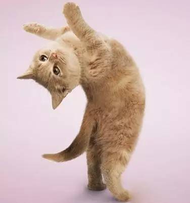 春夏｜如何玩转这个交替的季节？