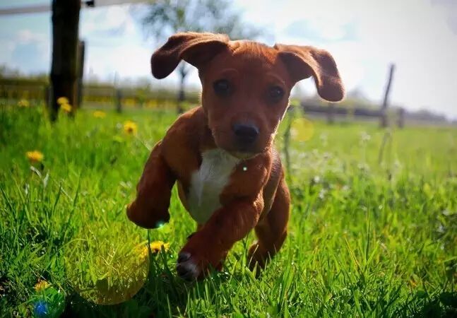 跑者绝配的3个迷人爱好，你都中吗？