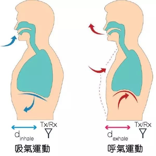 6大器官保健，只需一个对策！