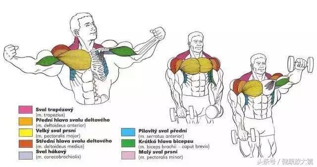 55组健身房器械动作指南！不再做“器械白痴”！