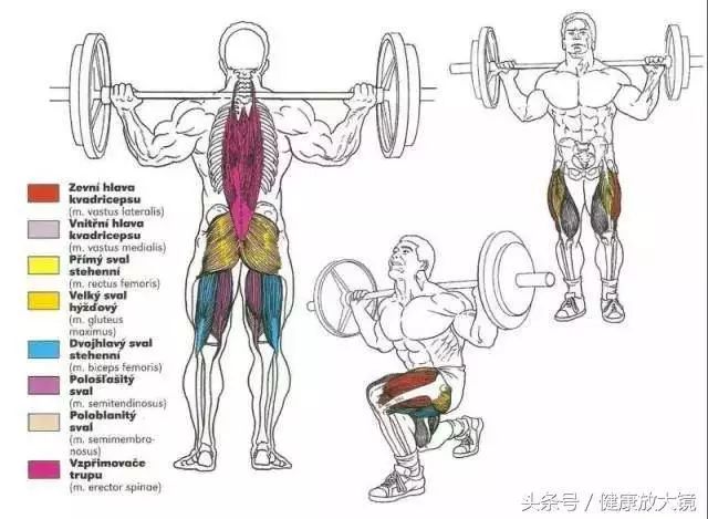 55组健身房器械动作指南！不再做“器械白痴”！