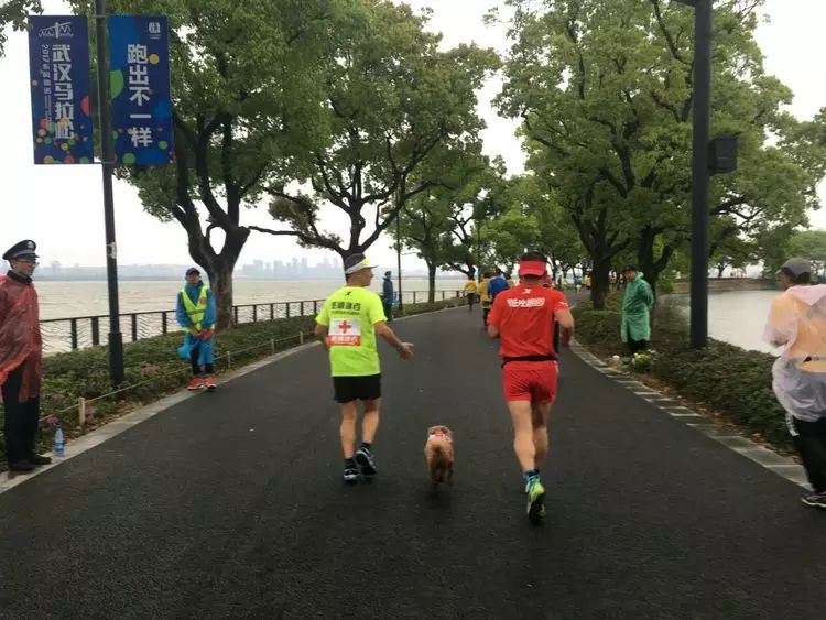 跑友分享｜再跑汉马的狗子———记“马拉松四毛”的第22场赛事