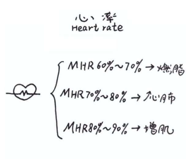 收藏！14张图，最直观的告诉你跑步那些事儿！