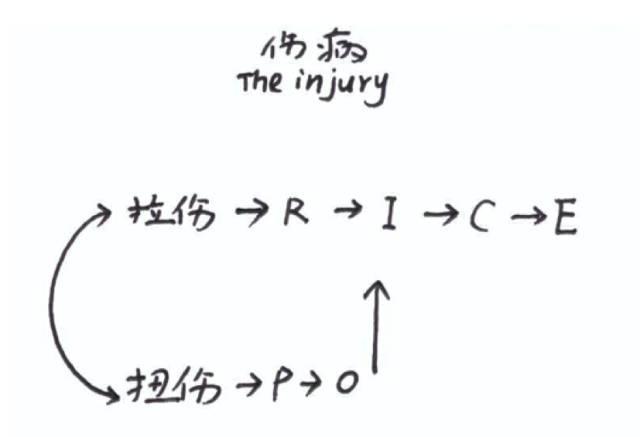 收藏！14张图，最直观的告诉你跑步那些事儿！