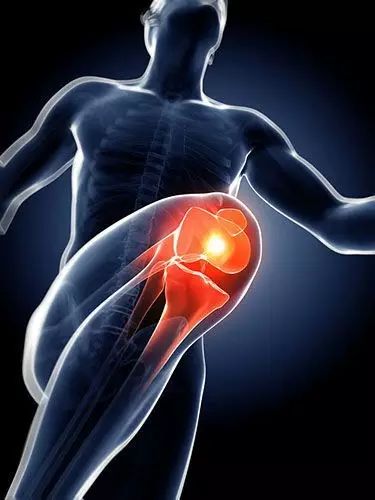 深度好文！骨科专家教你在跑步中善用膝盖！