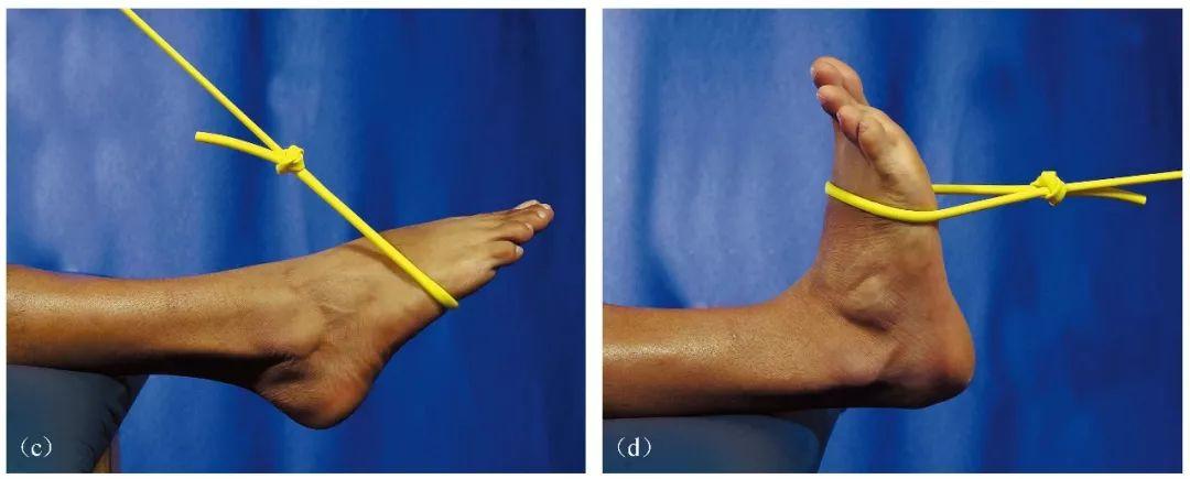 预防+提升，这些动作帮你对抗踝关节损伤