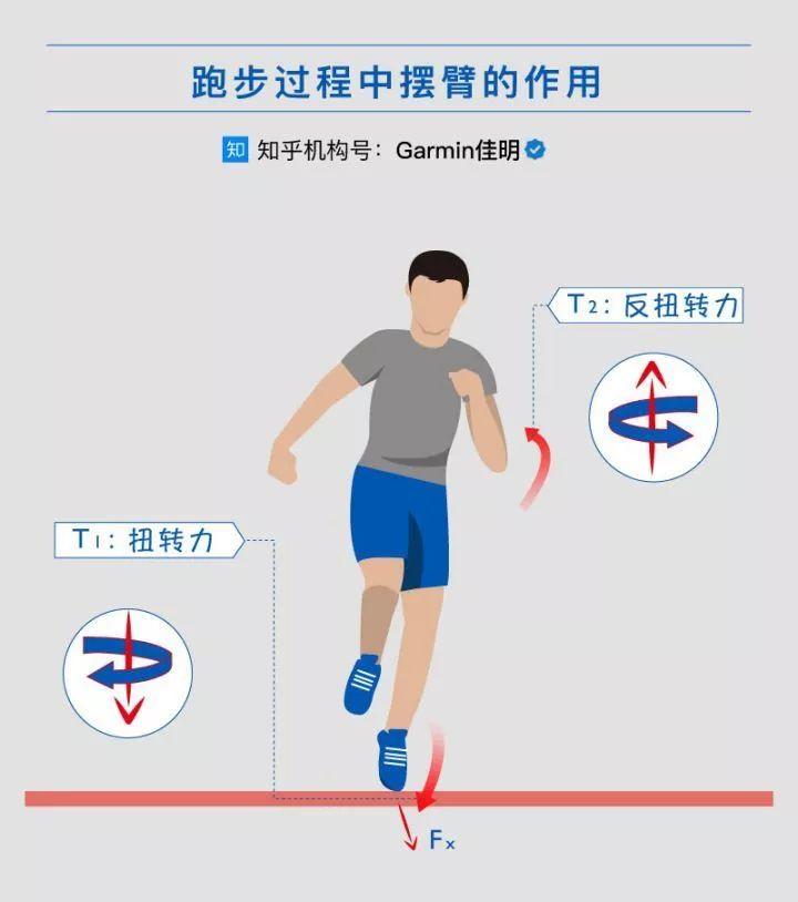 跑步的奥秘：为什么短跑运动员能跑的那么快？