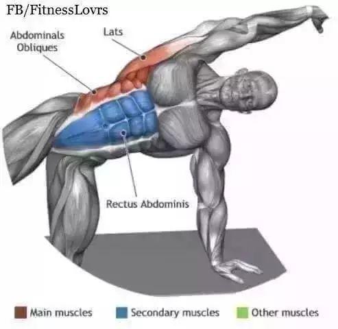 拉伸全解24式，为你的每一块肌肉找到最合适的拉伸动作！