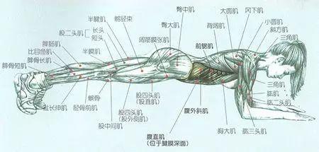 一跑保准瘦!一撑毁所有?! 一跑保准瘦!一撑毁所有?!