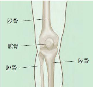 学会膝关节的自我康复训练，让你跑步更轻盈！