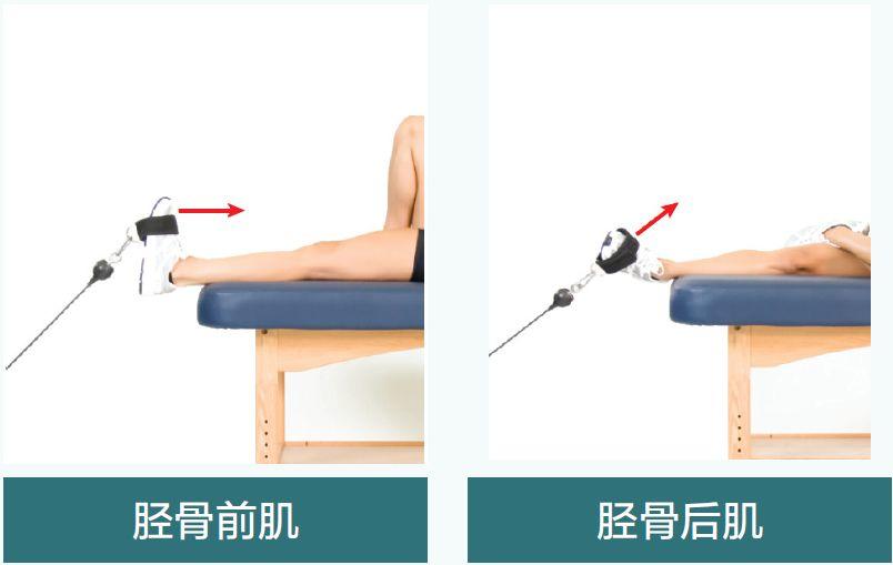 学会膝关节的自我康复训练，让你跑步更轻盈！