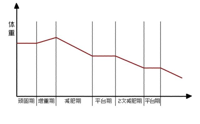 减肥6大阶段全解读！助你轻松冲破平台期！