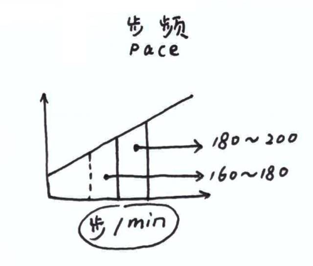 划重点！14条必懂的跑步小知识！