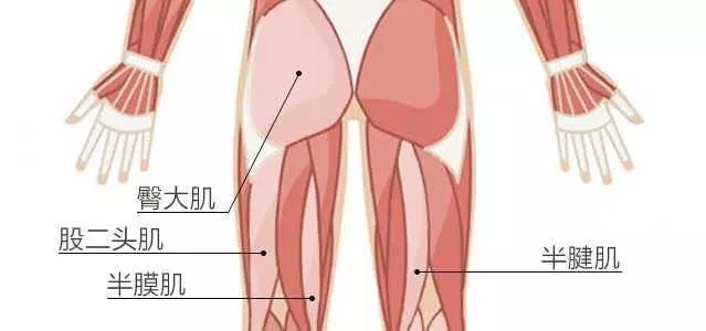 跑步除了膝关节，你还要懂得大腿防护！