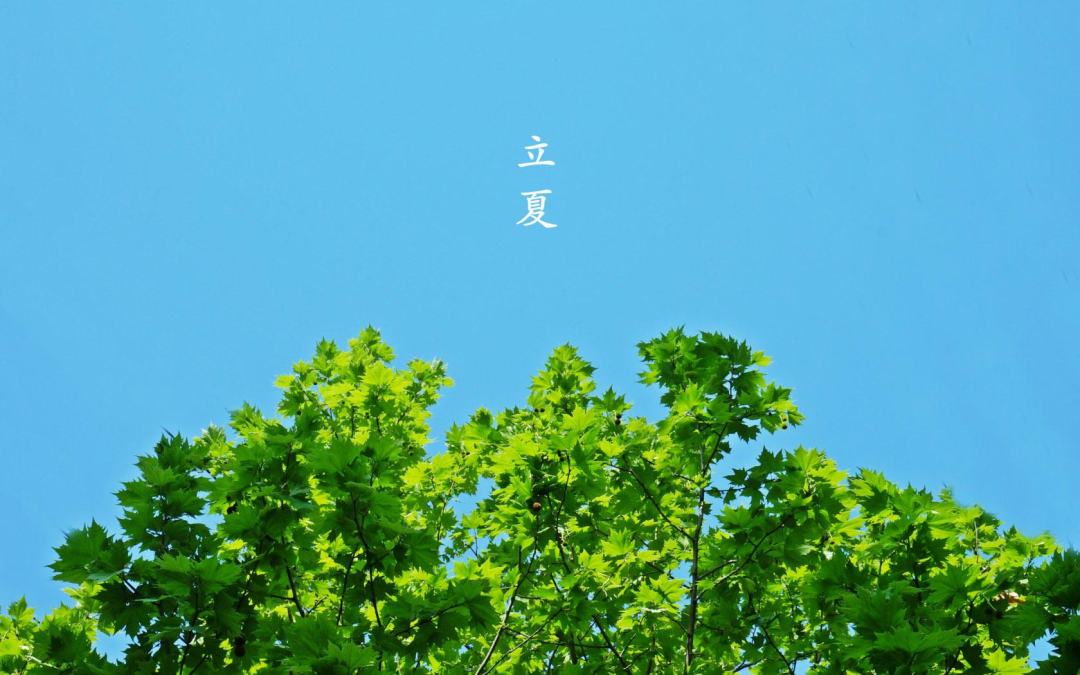 没动力去健身房？是你没买到合适的健身衣！宛如第二层肌肤，速干排湿，太好穿！