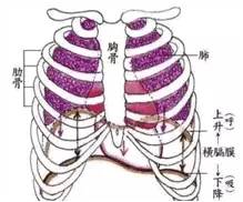 提速必读｜如何提升跑步的呼吸质量