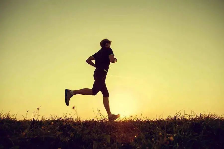 对于跑步而言，蛋白质摄入不如水重要吗？
