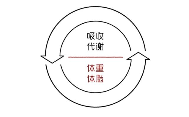 瘦得容易｜5张图打破减肥平台期