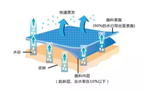 福利！爆卖10W套的意大利运动女士内裤，1秒干爽永不夹臀！