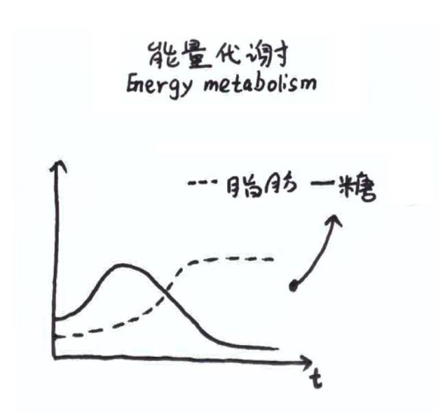 划重点！14条必懂的跑步小知识！