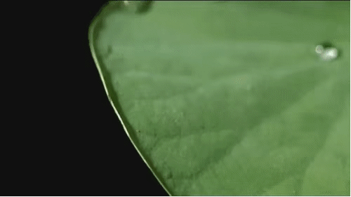 抢!99元/4件! 裸奔体感 纳米防污 冰感降温 闪电排汗专业运动T恤!赶快抢! 抢!99元/4件! 裸奔体感 纳米防污 冰感降温 闪电排汗专业运动T恤!赶快抢!