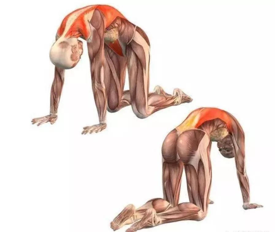 10 个最佳的运动后拉伸动作,赶紧学起来~ 10 个最佳的运动后拉伸动作,赶紧学起来~