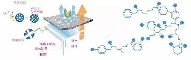 早起、运动后都适合的拉伸动作！身体变轻松的秘籍！