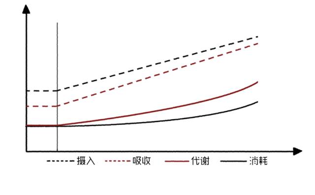 瘦得容易｜5张图打破减肥平台期