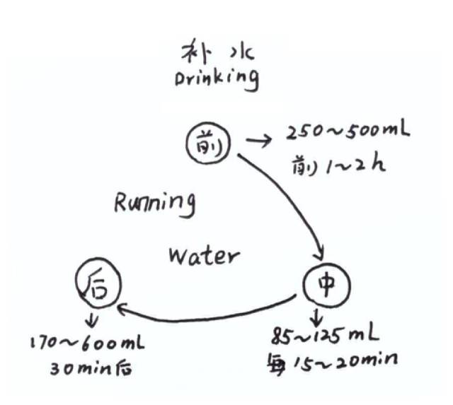 划重点！14条必懂的跑步小知识！