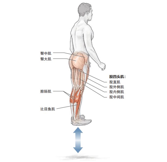 快速提升跑步的爆发力，这些基础跳跃动作一定要练起来！