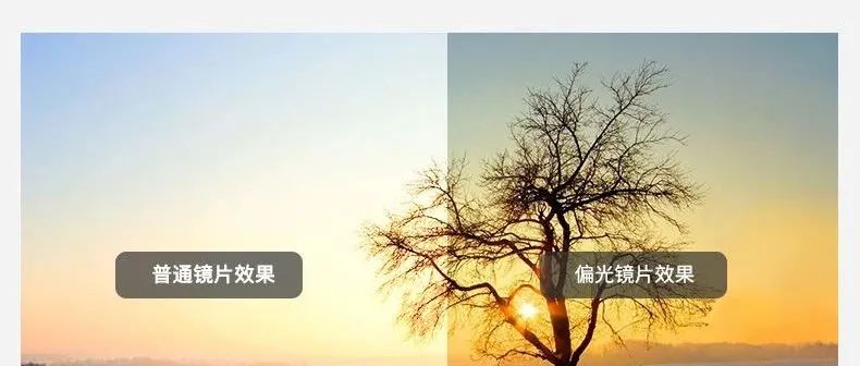 限量秒杀59元！运动必备专业偏光眼镜，下单送5副镜片+近视框架！