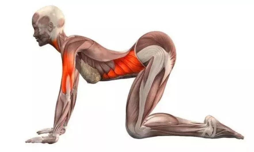 10 个最佳的运动后拉伸动作,赶紧学起来~ 10 个最佳的运动后拉伸动作,赶紧学起来~