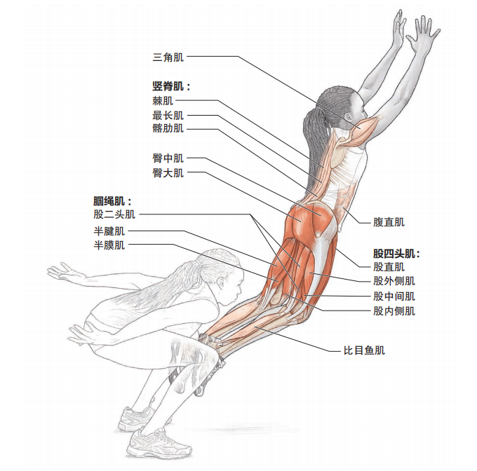 快速提升跑步的爆发力，这些基础跳跃动作一定要练起来！