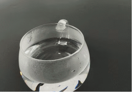 抢!限时0元购! 裸奔体感 纳米防污 冰感降温 闪电排汗专业运动T恤4件!赶快抢! 抢!限时0元购! 裸奔体感 纳米防污 冰感降温 闪电排汗专业运动T恤4件!赶快抢!