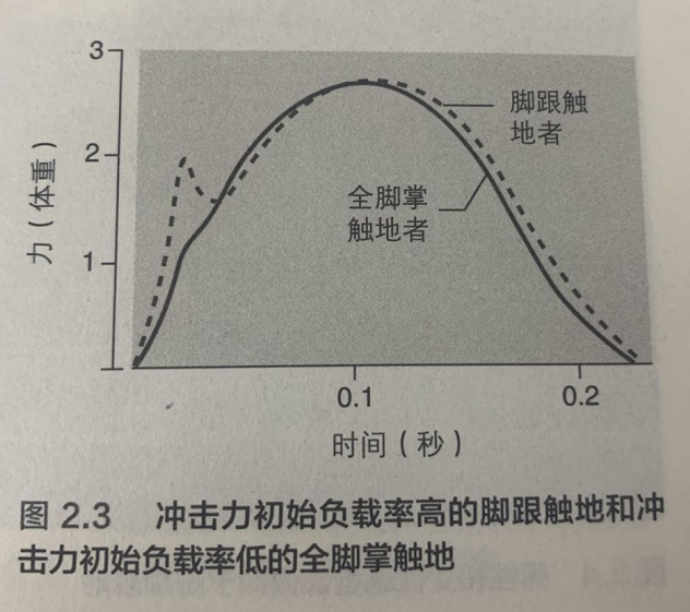 全脚掌触地和脚跟触地，哪种损伤率更低？