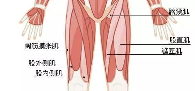 跑步除了膝关节，你还要懂得大腿防护！